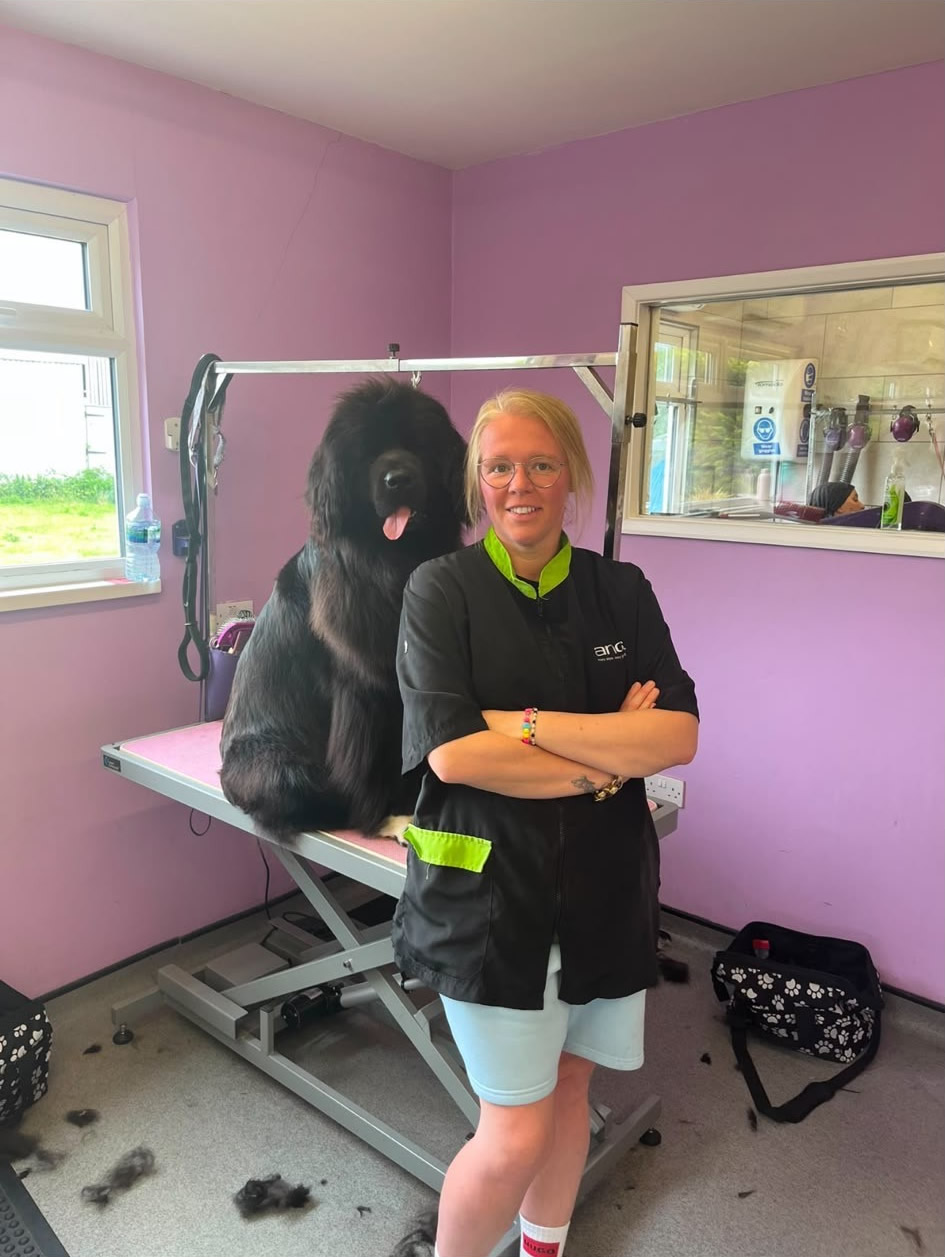 Services & Pricing | Amy's mobile dog grooming